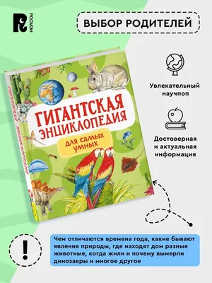 Большая энциклопедия российского школьника: природа, динозавры, человек,  изобретения, космос, история России | Гальцева Светлана Николаевна - купить  с доставкой по выгодным ценам в интернет-магазине OZON (840232592)