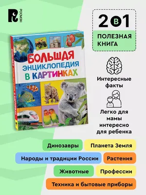 Книга Росмэн Большая энциклопедия в картинках купить по цене 9 ₽ в  интернет-магазине Детский мир