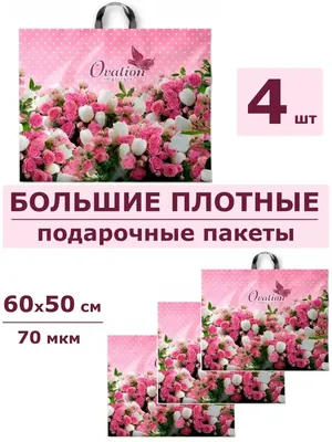 Роза малиновая 2 Большие цветы на 8 марта (ID#1366980538), цена: 170 ₴,  купить на Prom.ua