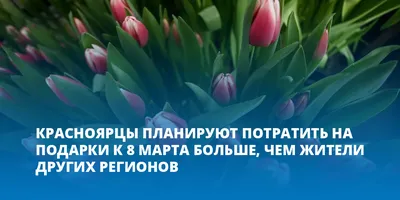 Огромные цифровые открытки появятся в Москве к 23 Февраля и 8 Марта //  Новости НТВ