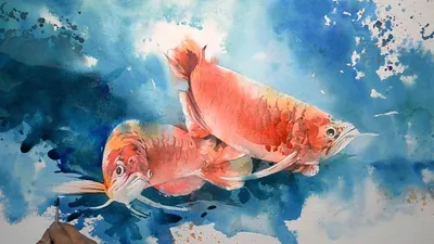 Большие рыбы красного моря - 54 фото