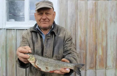 Гигантскую рыбу обнаружили в Городском пруду Екатеринбурга | Уральский  меридиан