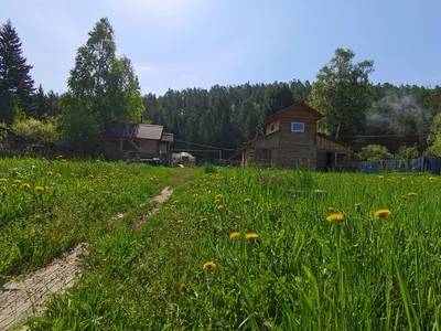 Домклик — поиск, проверка и безопасная сделка с недвижимостью в Иркутске