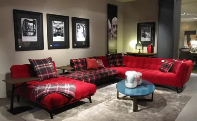 Красный диван в интерьере гостиной: фото разных оттенков оформления | Roche  Bobois