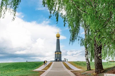 Бородино. Стихотворения и поэмы | Лермонтов Михаил Юрьевич - купить с  доставкой по выгодным ценам в интернет-магазине OZON (597136157)