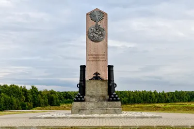 Иллюстрация к бородино - 28 фото