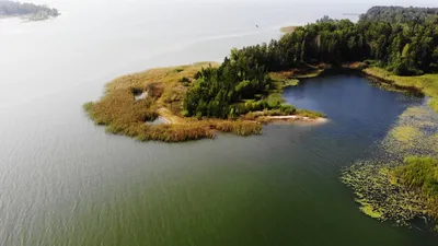 Боровое, остров Нечунаевский, Novosibirsk 4k drone Новосибирск с высоты  птичьего полета, Обское море - YouTube