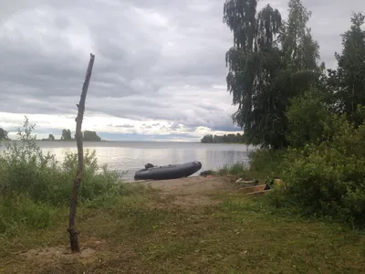 боровое - вести с водоемов. Рыбалка, прогноз клёва, погода