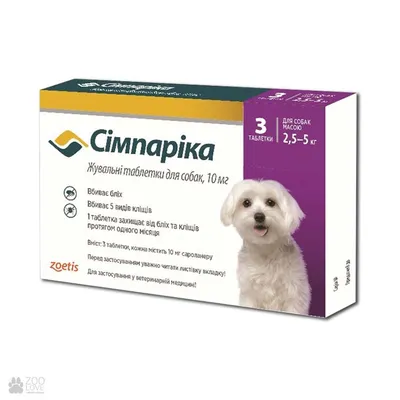 Болезни собак и их симптомы 🐶 – лечение и профилактика – ProPlan.ru