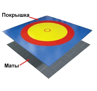 Ковер борцовский 10м.x10м. ППЕ 40мм, на липучке | PLASTIPLUS