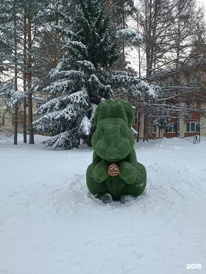 Отзыв о Отель \"Борвиха\" (Россия, Бердск) | Все было просто замечательно!