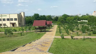 Ботанический сад НИУ БелГУ, центр повышения квалификации, Кашарский пр.,  18, Белгород — Яндекс Карты