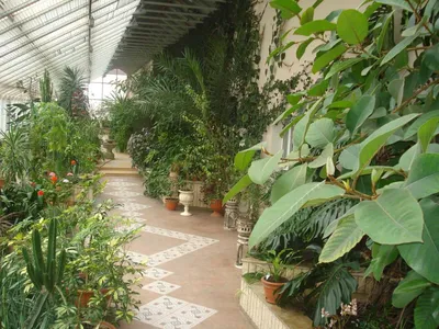 Ботанический сад в Белгороде — официальный сайт, купить саженцы, концерты,  экскурсии, цена билета, адрес, фото, как добраться