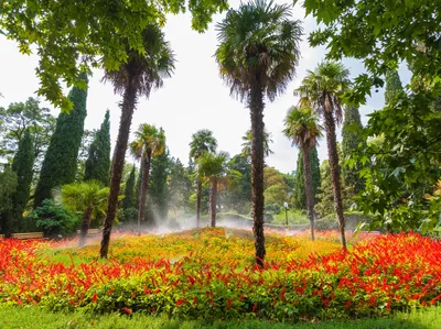Больше не работает: Ботанический сад Белгородского государственного  университета, сад, Белгород, Ботанический сад Белгородского  Государственного Университета — Яндекс Карты