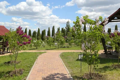 Кременецкий ботанический сад