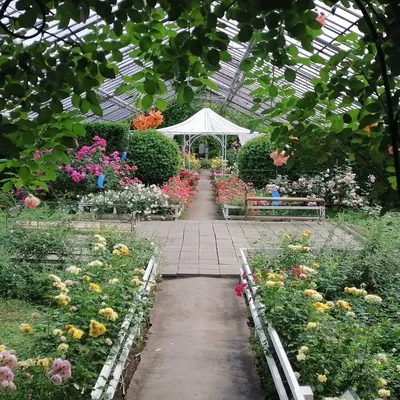 Ботанический сад чита фото фото