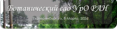 Отзыв о Ботанический сад УрО РАН (Россия, Екатеринбург) | Хороший парк (сад)  для прогулок горожан.