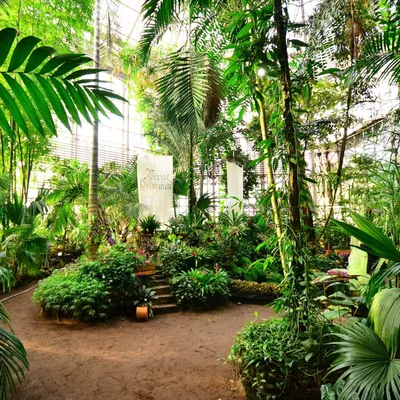 Botanika Green House