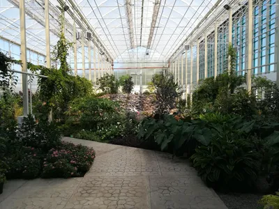 Ботанический сад Кемерово фото фото