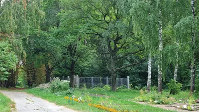 Нижегородка устроила в квартире настоящий ботанический сад (ФОТО) |  Нижегородская правда