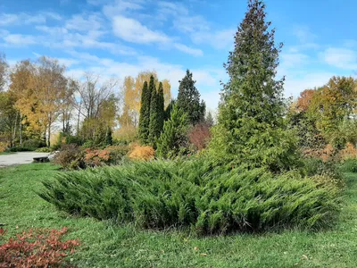 Оля Куренкова | Нижний Новгород | Интересные места on Instagram: \"Ботанический  сад ННГУ 🌿 Давно мечтала попасть в это место и вот наконец-то - спасибо  @tele2russia 👍🏻 Здесь есть большой открытый сад,