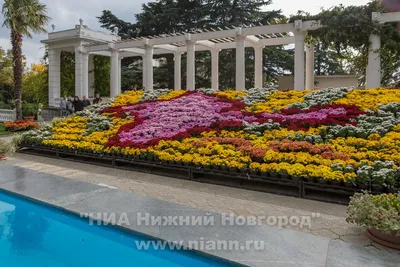 Ботанический сад Нижнего Новгорода | BoNatik Нижний Новгород | Дзен