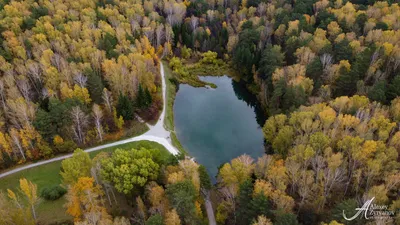 Горно-Алтайский ботанический сад | Микроавтобус в Новосибирске | Дзен