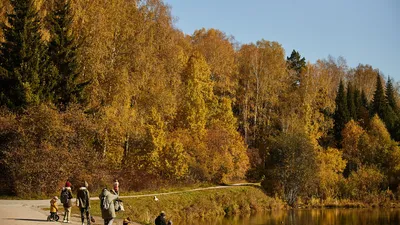 ЦЕНТРАЛЬНЫЙ Сибирский Ботанический Сад СО РАН | Новосибирск | БОТСАД |  Академгородок | #новосибирск - YouTube