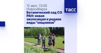 Сибирский ботанический сад ТГУ | Tomsk