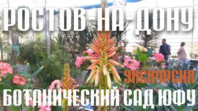 Ботанический сад ЮФУ