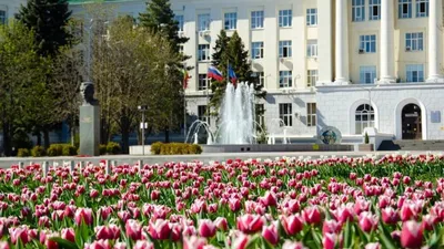 В парке Горького (Ростов-на-Дону) :: Нина Бутко – Социальная сеть ФотоКто