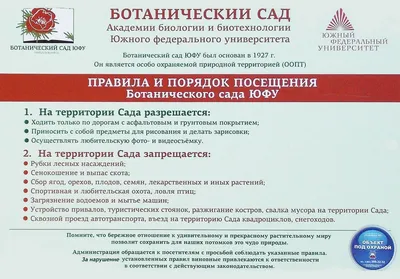 Отзыв о Ботанический сад ЮФУ (Россия, Ростов-на-Дону) | Ботанический сад  сейчас скорее ботаническая роща