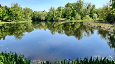 Ботанический сад Самарского университета в городе \"Самара\"