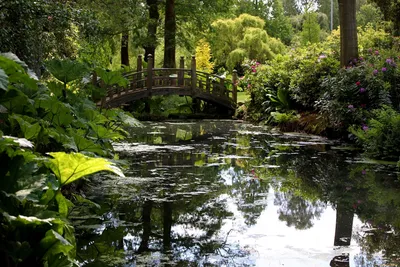 Ботанический Сад Петра Великого. Санкт-Петербург. Peter the Great Botanical  Garden. May 2021. - YouTube