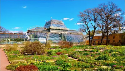 Ботанический сад Санкт-Петербурга