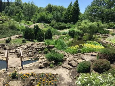 Ботанический сад Ставрополь фото фото