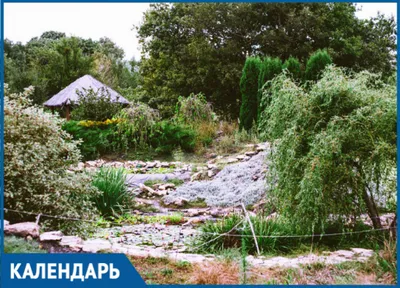 Фото: Ставропольский ботанический сад, парк культуры и отдыха, ул. Ленина,  478, Ставрополь — Яндекс Карты