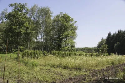 Ботанический сад в Ставрополе. Красивое и прекрасное место для отдыха и  фотосессий на природе - YouTube