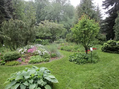 Ботанический сад открыли для посетителей в Твери - KP.RU