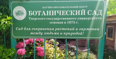 Тверской Ботанический сад: обратно в лето | Одно большое путешествие | Дзен