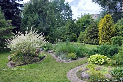 Ботанический сад Тверского государственного университета