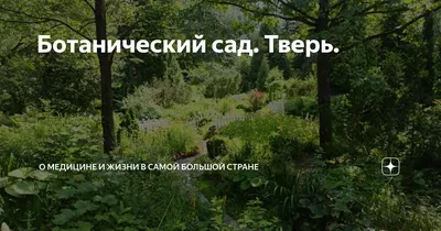 27 лет назад в Твери после перерыва длиной в четверть века вновь открылся Ботанический  сад - KP.RU