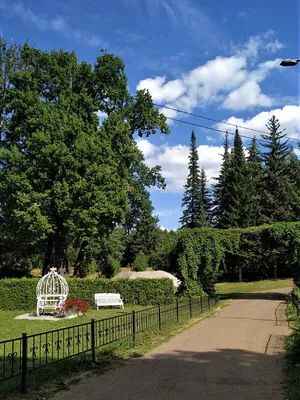 🏠 ЖК Ботанический сад - цены на сайте от официального застройщика СЗ ЖК БОТАНИЧЕСКИЙ  САД, планировки жилого комплекса, ипотека, акции новостройки - Республика  Башкортостан, Уфа, улица Сагита Агиша - ЦИАН