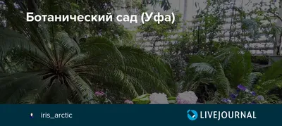 Южно-Уральский ботанический сад-институт УФИЦ РАН — Википедия