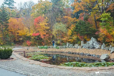 Ботанический сад посетило на 40% больше владивостокцев и гостей города –  Prim-Travel