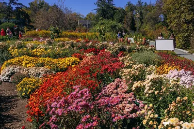 Ботанический сад - Владивосток