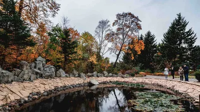 Осенний ботанический сад во Владивостоке: что цветет в октябре — «Вечерний  Владивосток»