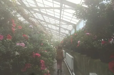 Ботанический сад Владивостока.. нагулялись, нафоткались📸 #цветы # владивосток | Instagram
