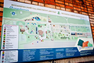 Ботанический сад Владивостока получит грант на благоустройство своих  территорий - KP.RU