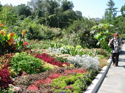 Ботанический сад - Владивосток